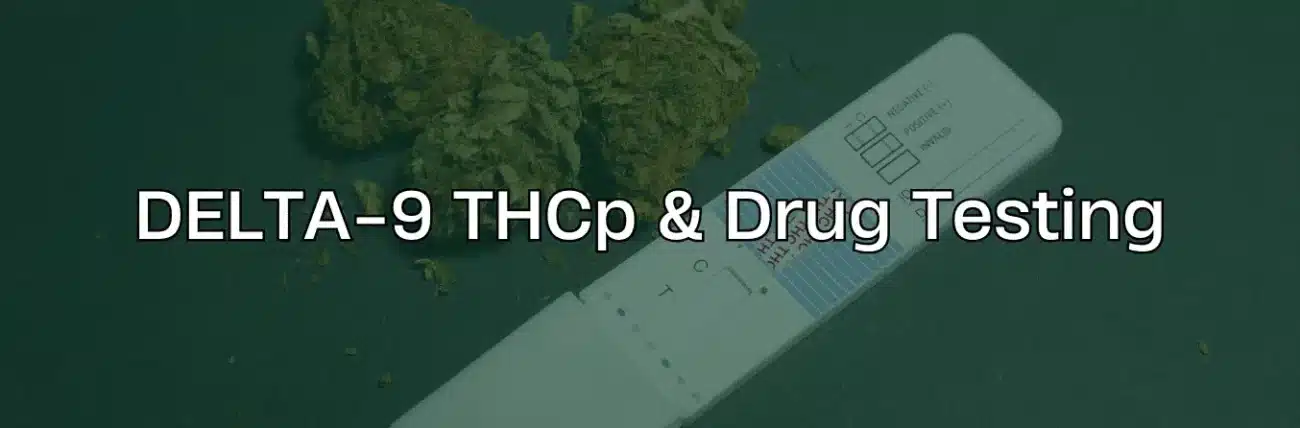 Delta 9 THCP Drug Test