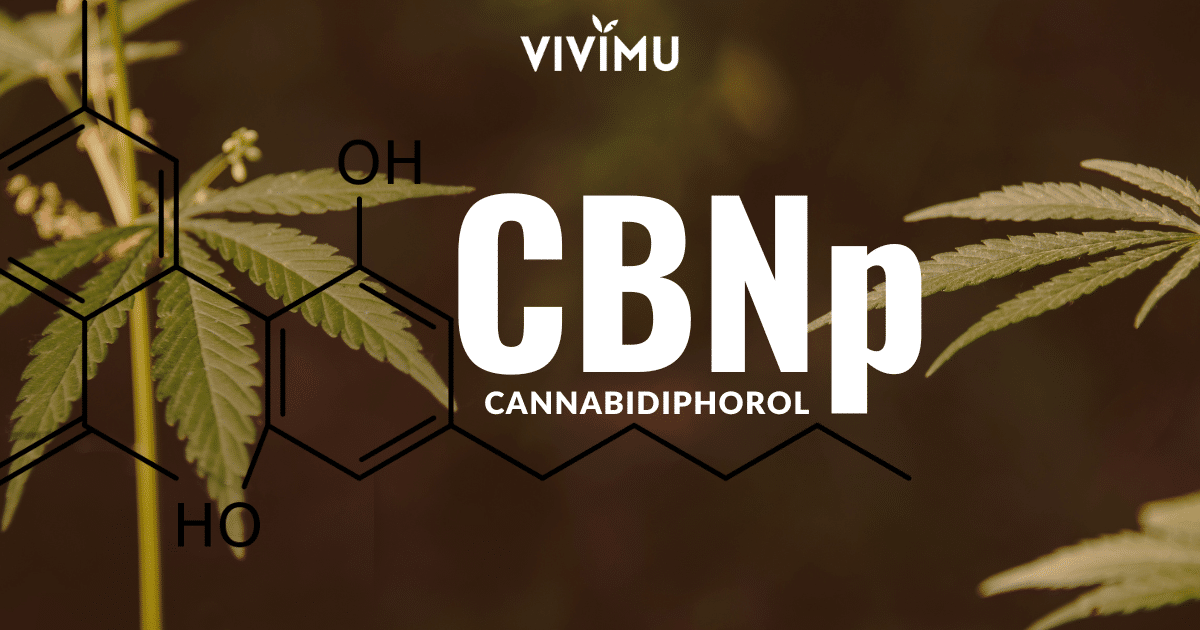 CBNP hemp cannabinoid
