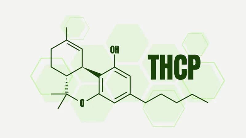 THCp: P is for Potency