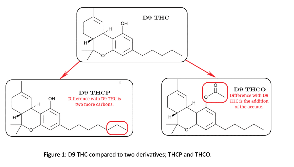Delta 9 THC Comparsion with THCp and THCo