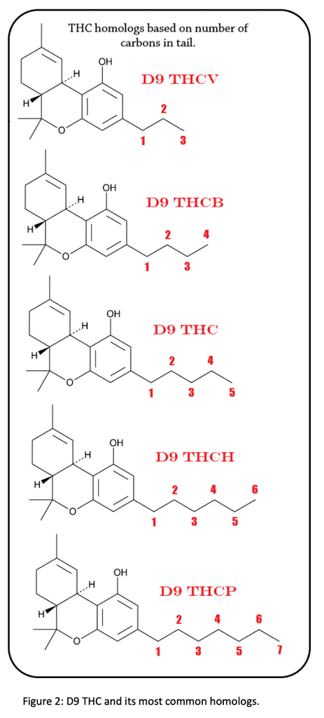 Delta 9 THC Homologs