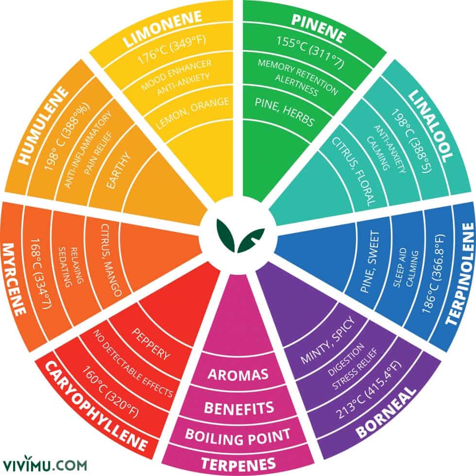 Terpene Chart: Learn More About Terpenes Here