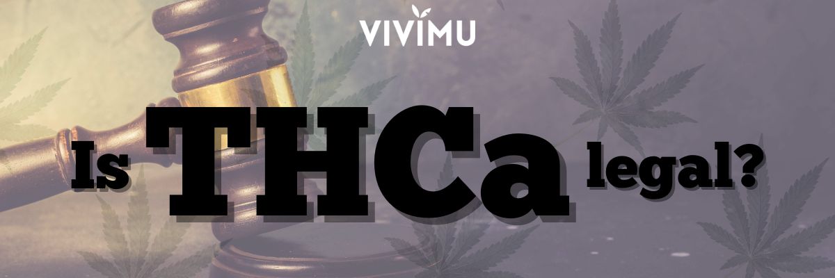 Vivimu blog on if THCa is legal