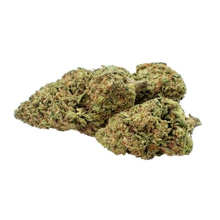 GMO x G41 THCa Flower – Group of Dense, Frosty Hemp Buds Delivering a Heavy-Hitting Body High and Euphoric, Hazy Headspace – Premium Indica-Dominant Hybrid Available at Vivimu