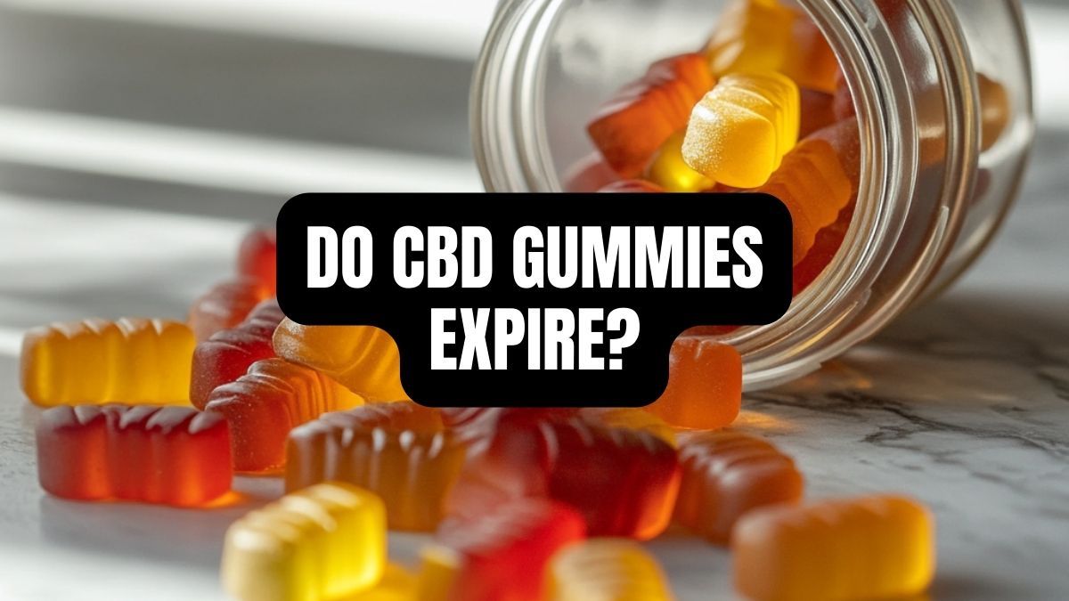 Do CBD Gummies Expire? The Truth About Shelf Life