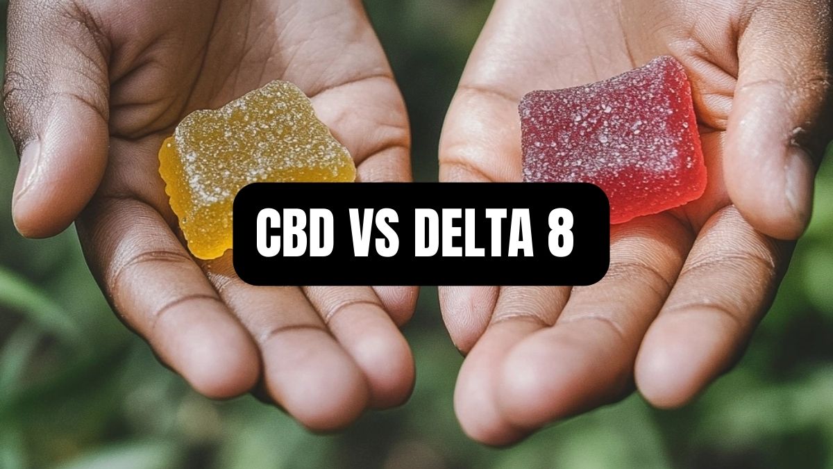CBD Vs Delta 8: What Are the Key Differences Between Them?