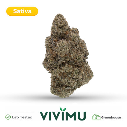 Banana Split THCA Flower