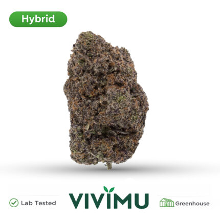 Blueberry Diesel THCA Flower