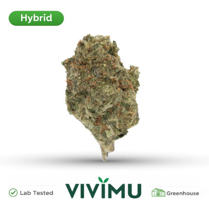 Cherry Limeade THCA Flower