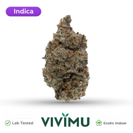 Gelato Mintz THCA Flower