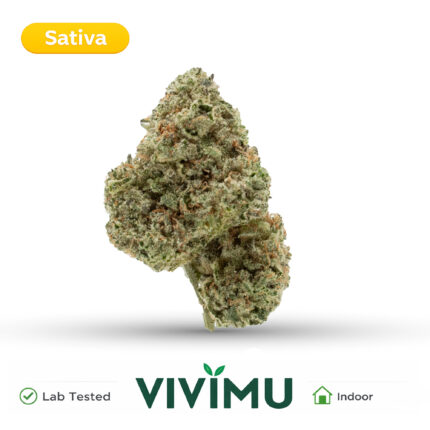 Green Lantern THCA Flower