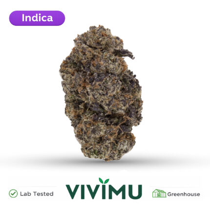 Midnight Mango THCA Flower