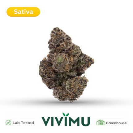 Tahiti Lime THCA Flower