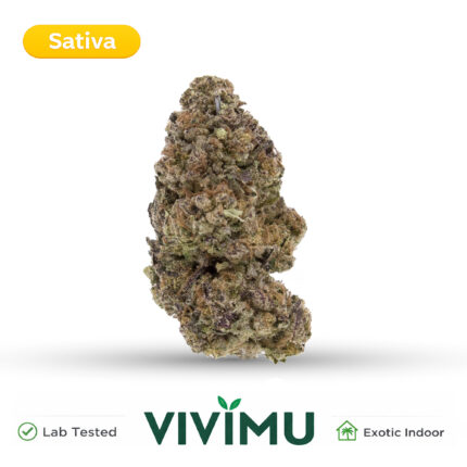 Wonka Bars THCA Flower